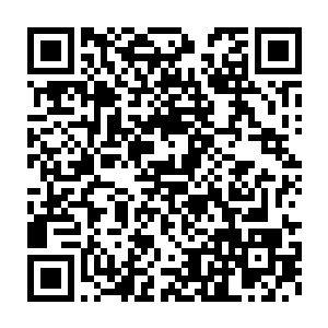 一股无比恐怖的浓郁的木属性的天地精气也朝着自己身边狂涌而来二维码生成