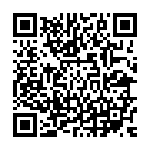 一股无比恐怖的玄妙的气息也瞬间直接从杨戬的身上散发出来二维码生成