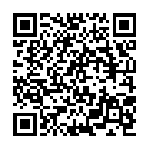 一股无比浓郁的药香瞬间从赤铜鼎之中弥漫而出二维码生成