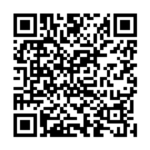 一股更为恐怖的威势也直接从紫色的火龙的身上冲天而起二维码生成