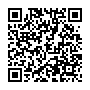 一股更加阴寒的能量也朝着杨戬的丹田之处涌去二维码生成