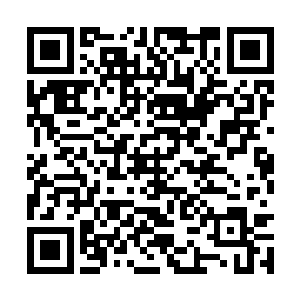 一股极为浓郁的火焰就突然从天地间开始燃烧起来二维码生成