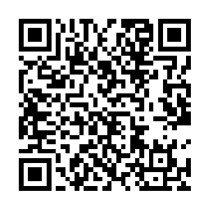 一股柔和却磅礴的力气立即通过银针进入傅风雪的身体二维码生成