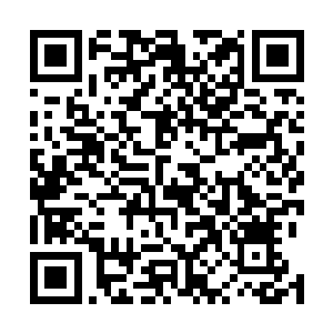 一股比起雷家大长老强大不知多少倍的元神之力轰压而下二维码生成