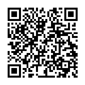 一股毫不逊色宇天的欢呼声在明亮的月光下象棋二维码生成