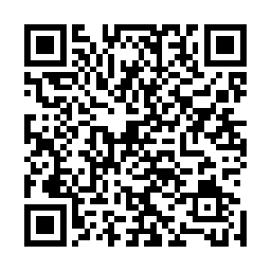 一股气浪便如同海潮一般地向着那几个大地族修士呼啸而去二维码生成