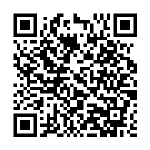 一股浓烈的亡者气息和黑沉沉的粒子不断的拟合她的伤口二维码生成