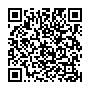 一股浓郁的绿色烟雾便先一步冲了过来了……不用看就知道二维码生成