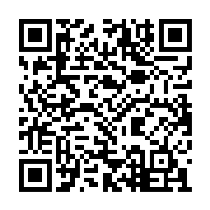 一股浓郁的血腥的气息也开始朝着周围弥漫开来二维码生成
