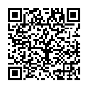 一股浩然之力滚滚不休的从那团乳白色的仙云之气团里出现二维码生成