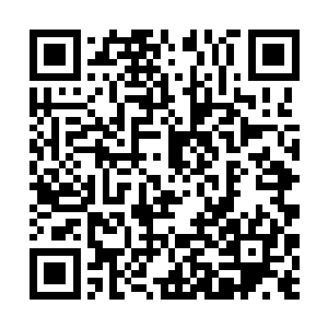 一股淡蓝色的火焰也诡异的从那凤凰翎之中激射而出二维码生成