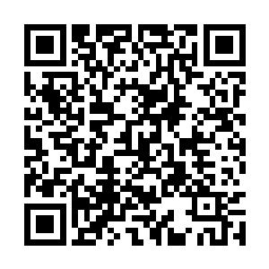 一股淡青色的光芒突然从灵水仙兽的身上涌现出来二维码生成