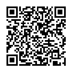 一股澎湃法力瞬间将十几只小螳螂给绞杀成了齑粉二维码生成