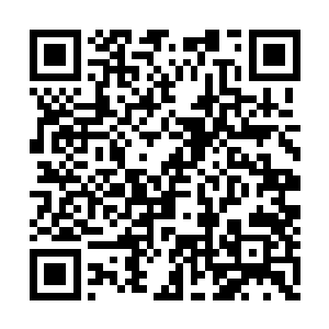 一股火灵力顿时化为一股龙卷冲大汉席卷了过去二维码生成