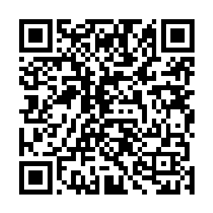 一股炽热的烈焰也从虎魄刀那水晶一般的刀身上燃烧起来二维码生成