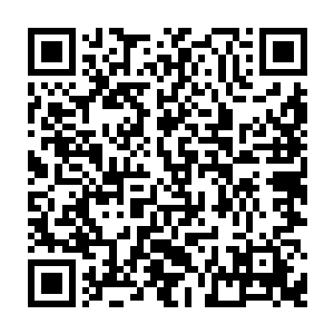 一股烧焦的土壤气味加上一片焦黑的硬土说明了这个地方果然遭受过高温侵袭二维码生成