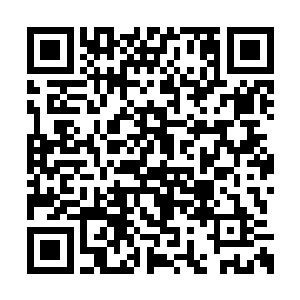 一股狂暴的劲气也瞬间从龙傲天的手中狂涌而出二维码生成
