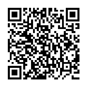 一股狂暴的气浪带着腥臭之味迸发而出其中夹杂着锐利的风刃二维码生成