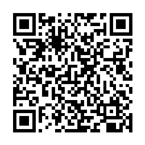 一股王者霸气和浓烈的学啥之气夹杂着无穷无尽的杀气二维码生成