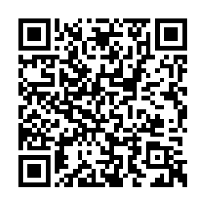 一股白色的屏帐犹如一面墙壁尽数将黑气遮挡住二维码生成