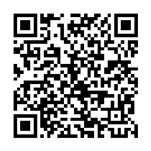 一股股可怕的力量波动也开始从那机械巨兽体内弥漫而出二维码生成
