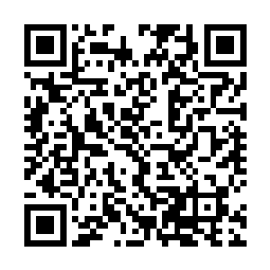 一股股奇异的能量正源源不断的从剑齿虎身上涌了过来二维码生成