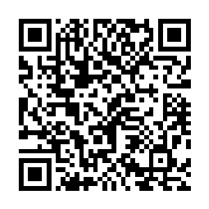 一股股如同蒸汽一般的红色血雾也开始从他身上弥漫而出二维码生成