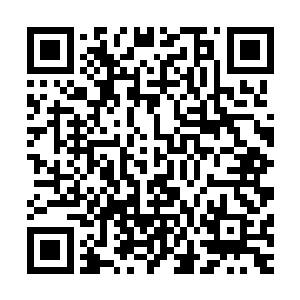 一股股强大至极的寒气也从这寒冰巨人的左手掌心中激荡而出二维码生成
