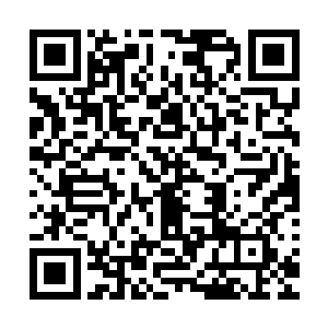 一股股恐怖的狂暴的气息也瞬间直接朝着黑莲的身上席卷而去二维码生成