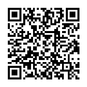 一股股恐怖的能量bo动也是朝着四面八方扩散开来二维码生成