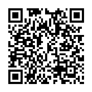 一股股无比恐怖的暴虐的气息也是疯狂的朝着那二维码生成