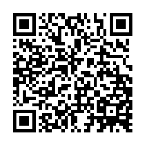 一股股气流让土地看上去变成了流沙一般不断游走二维码生成