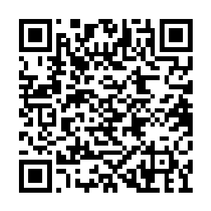 一股股浓浓的业力也从恶龙之魂的身上升腾起来二维码生成
