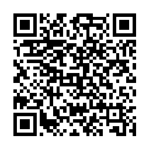 一股股滔天血浪也忽然从草原远处的地平线上涌现二维码生成