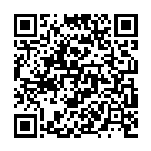 一股股玄妙的精纯的天地元气也开始疯狂的蔓延开来二维码生成