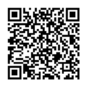 一股股阴冷的凶煞之气也不断的充斥着整个天古荒域二维码生成