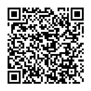 一股脑的把其中的律法典籍和学习笔记交给了那些有些茫然的村民二维码生成