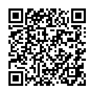 一股让沈凡无法控制的意念猛地涌入沈凡的魂海二维码生成