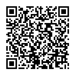 一股诡异的力量从不老殿中传出正在汲取着妖兽精血……场面恐怖而诡谧二维码生成
