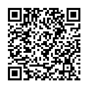 一股阴暗而又带着腐朽的气息突兀的出现在整个山岭二维码生成