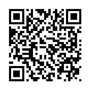 一脑袋狠狠撞在了大章鱼的脑袋上二维码生成