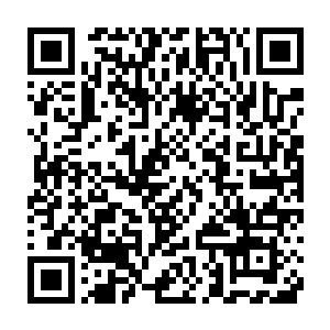 一脸不可思议的看着从小到大在自己面前表现的极为乖巧的云不修二维码生成