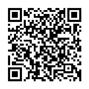 一脸严肃的城主在感应到通道的时候迅速离开城主府朝这边飞来二维码生成