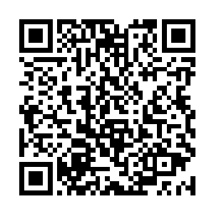 一脸平静之色的向赵风等战斗机人下达了攻击的命令二维码生成