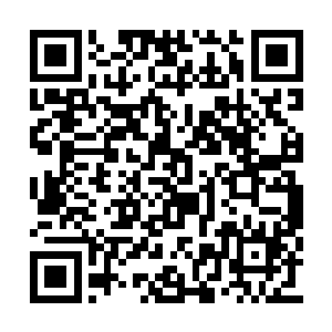 一脸怒意地盯着居高临下地审视着他们的厉倾城二维码生成