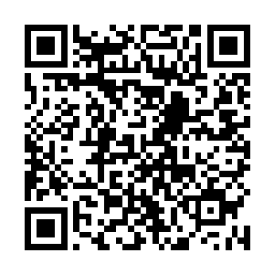 一脸惊恐的看着被天鹰王国的强者抓在手中的国王陛下二维码生成