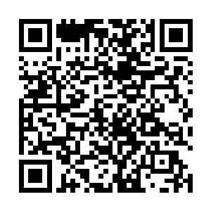 一脸担忧之色的望着坐在主位之上的郑浩然大声询问道二维码生成