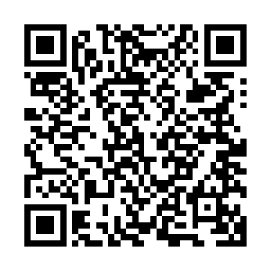 一脸担忧地将马文这几天最挂心的一件事情的结果告诉了马文二维码生成