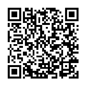 一脸淡定的流墨墨突然把俩胳膊都缩进了白裙里蹲下二维码生成