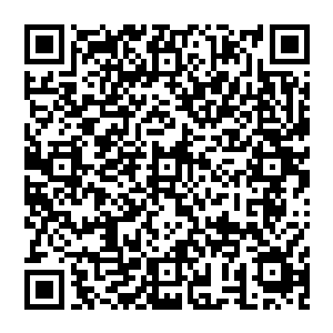 一脸精明强干的人正带着两排侍卫在飞舟外面迎接着从飞舟上走下来的一干黑袍神将和薛玉秀等人二维码生成